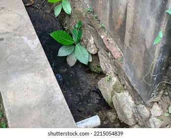 Waste Water Drain Near The House. Open Drain, Dirty, Smelly, And Pooling