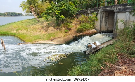 Waste Water, Polluted Water 