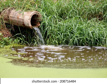 waste water running slow from a concrete pipeline direct onto a natural pond with green grass on the bank and light green small mosquito fern on the water surface