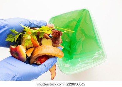 wasted food person wearing glolves
 - Shutterstock ID 2228908865