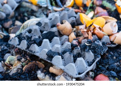 Waste-free Farming With Circular Use Of Resources. Compost Heap