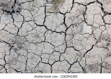 Wasteland background. Desert wasteland texture. Cracked dried wasteland ground surface. Arid land. Aridity and drought.