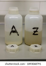 Wastewater Samples In The Laboratory Of A Wastewater Treatment Plant