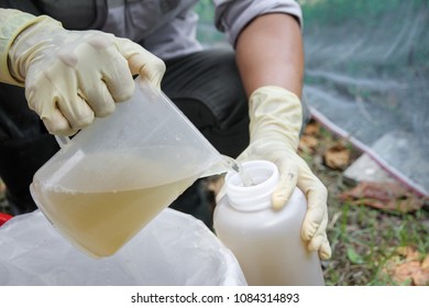 Wastewater Sampling By Method Composite Sampling. ( Pouring Water Put Bottles )