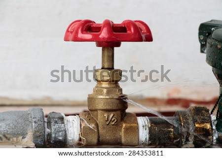 Wasting water - water leaking from the valve