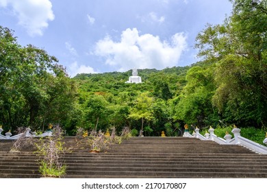 113 Wat Thep Phithak Punnaram Images, Stock Photos & Vectors 