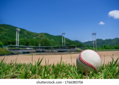 
Watch Baseball From The Audience