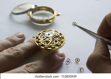 Watch Maker Is Repairing A Vintage Automatic Watch.