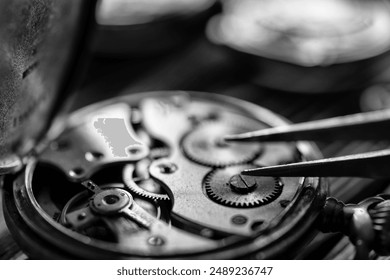 Watch repair. Watchmaker's workshop. Special tools for watch adjustment - Powered by Shutterstock