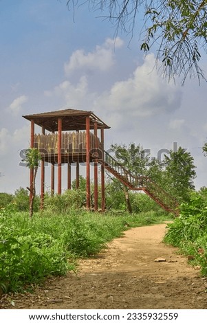 Watch tower in a forest for observing animals