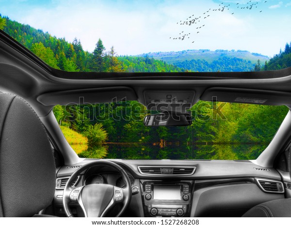 watching the forest from the\
car