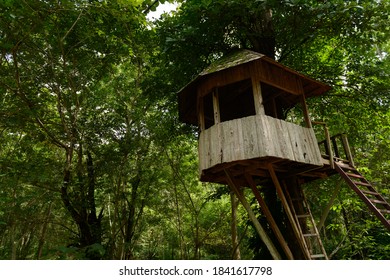 The watchtower or animal observation tower is made of wood used for observing and studying behavior. Take pictures of wild animals Camouflage from wildlife.