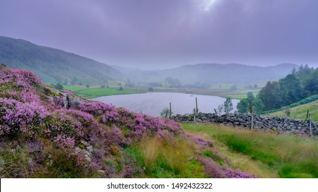 Watendlath, UK - August 14, 2019:  Overcast And Drizzle Views In August Of The Wastendlath National Trust Hamlet, Near Keswick, Lake District National Park