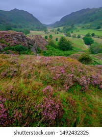 Watendlath, UK - August 14, 2019:  Overcast And Drizzle Views In August Of The Wastendlath National Trust Hamlet, Near Keswick, Lake District National Park