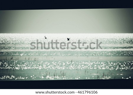 Similar – Image, Stock Photo Black Peter Winter Snow