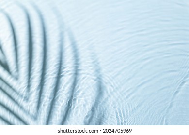 Water background. Blue aqua texture, surface of ripples, transparent palm leaf shadows and sunlight. Spa concept background. Flat lay, top view, copy space, banner