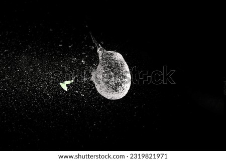 Water balloon exploding on black background