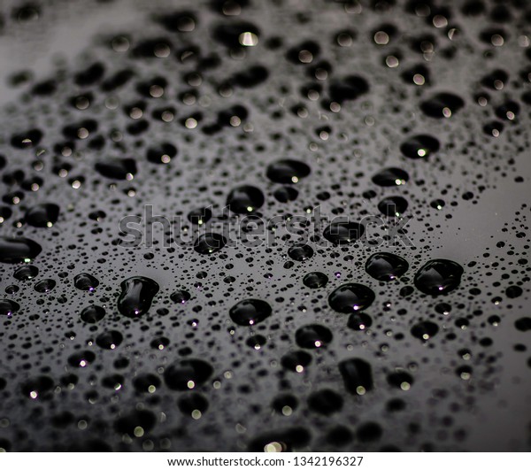 Water Beading Car Detailing Stock Photo (Edit Now) 1342196327