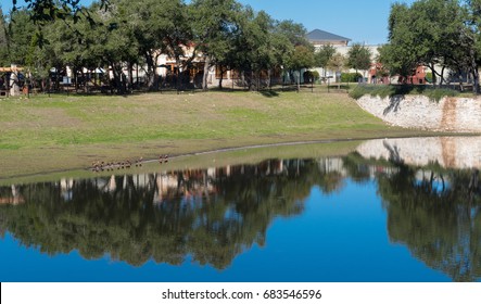 Water Birds At The Shore Of A Stormwater Pond