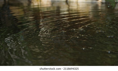 Water Bobble Running Above Water