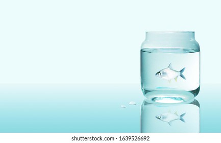 Water In Bottle And Fish Background Design