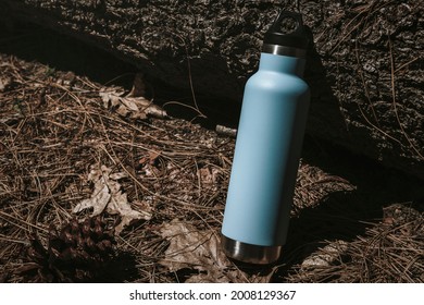Water bottle in the forest