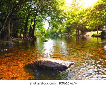 Water In The Brook Is Flowing Softly, Nature And Tourist Attraction Concept.