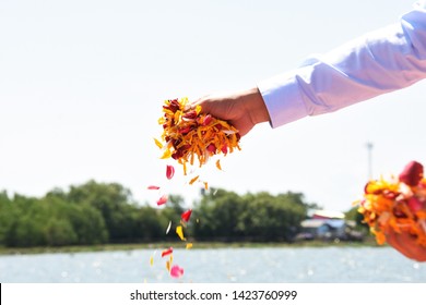 Water Burial Funeral Ceremony Hand Holding Flower Petals Spreading Over Water In Scattering Ashes Ceremony After Cremation