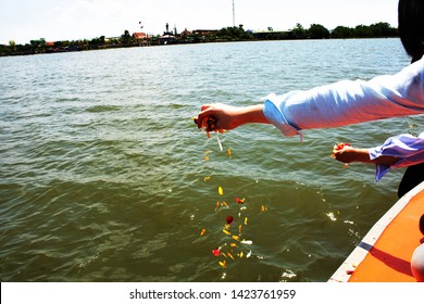 Water Burial Funeral Ceremony Hand Holding Flower Petals Spreading Over Water In Scattering Ashes Ceremony After Cremation