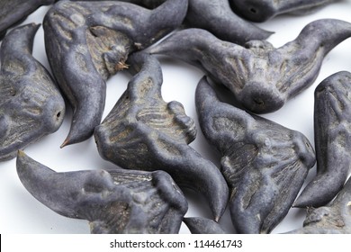 Water Caltrop