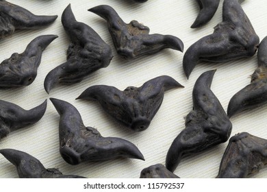 Water Caltrop