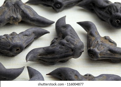 Water Caltrop