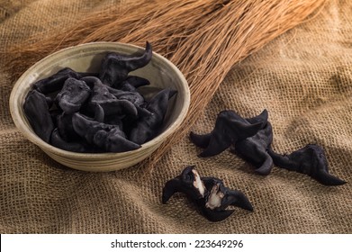 Water Caltrops, Trapa Natans Isolated