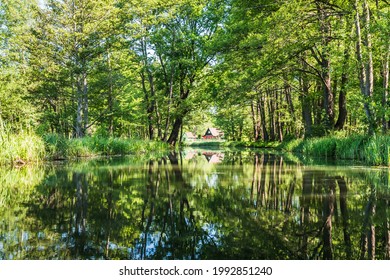 Water canal with beautiful water reflection in the biosphere reserve Spree forest (Spreewald) in the state of Brandenburg, Germany