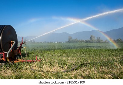 Water Cannon Machine Watering Corn Fields