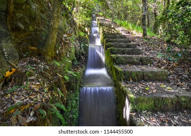 Water cascade on Madeira Island. Madeira levadas