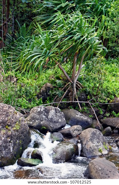 Water Cascading Down Rocks Botanical Gardens Stock Photo Edit Now