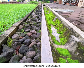 water catchment path consisting of waterways overgrown with moss and rocky areas for rainwater infiltration