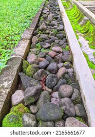 water catchment path consisting of waterways overgrown with moss and rocky areas for rainwater infiltration