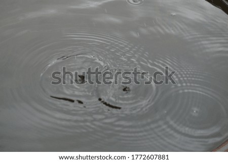 Similar – water on water with leaf padding