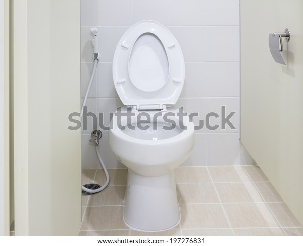 Water closet or flush toilet inside toilet\
room. Floor and wall decor by ceramic tile material. Divided with\
with partition wall. Flush toilet designed for sitting. Handle\
urinal flush valve\
included.