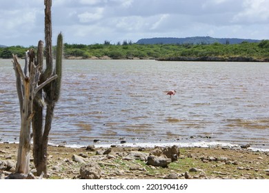 Water Cloud Sky Water Resources Ecoregion Natural Landscape