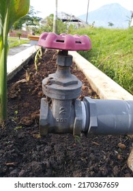 
Water connector valve for watering plants in the garden