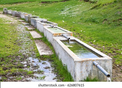 173 Cow drinking fountain Images, Stock Photos & Vectors | Shutterstock