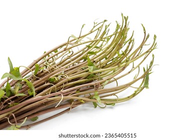 Water convolvulus or water spinach on white background. - Shutterstock ID 2365405515