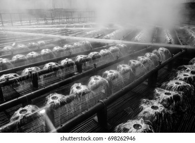 Water Cooling Tower Spray Heads Inside Electric Power Plant