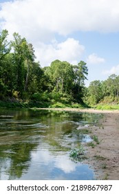 Water Creek River In Houston The Woodlands Spring Texas Pineywoods