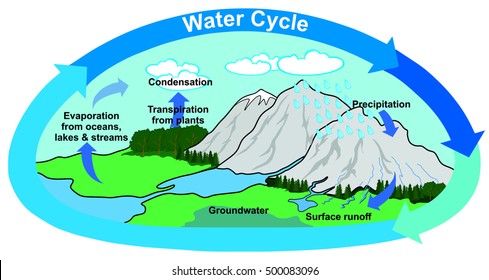 Water Cycle Images, Stock Photos & Vectors | Shutterstock