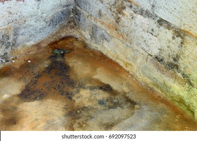 Water Damage And Mold In Basement. Horizontal Image