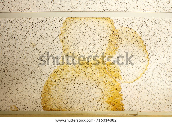 Water Damage On Ceiling Tiles Due Stock Photo Edit Now